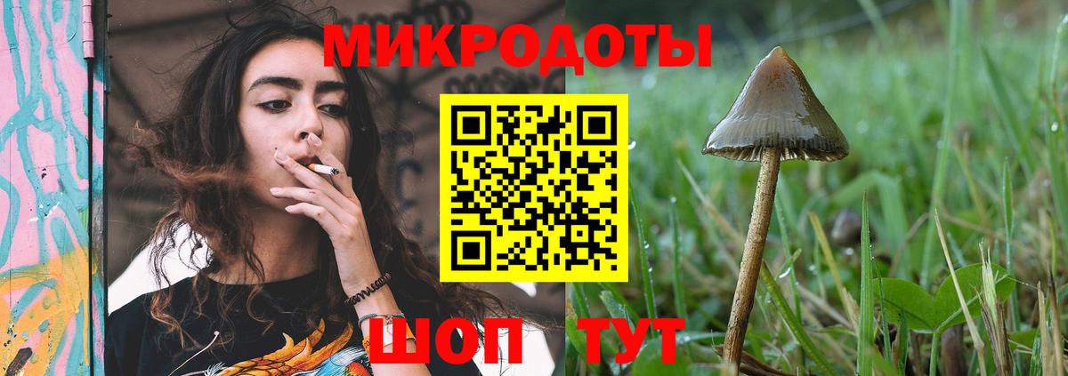 Псилоцибиновые грибы Psilocybe  Вход с VPN  Зеленодольск  Псилоцибиновые грибы мухоморы 