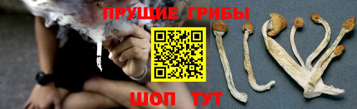 COCAIN Зеленодольск